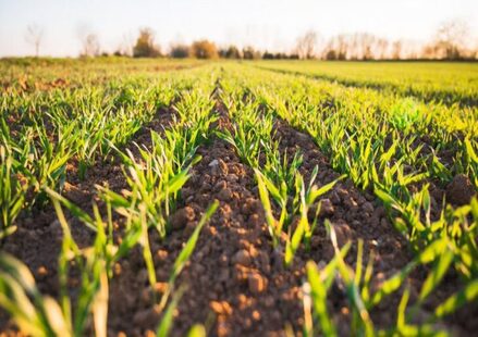 Taxability of Agriculture Income Taxability of Agriculture Income