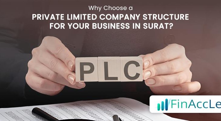 Private Limited Company Structure for Your Business in Surat Private Limited Company